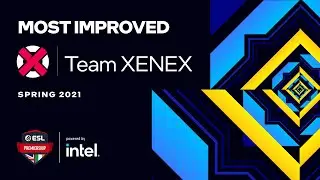 WE ALL LOVE AN UNDERDOG - INTEL MOST IMPROVED - Team XENEX