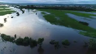 Разлив Нерчи, 09.07.2018 лошади на острове
