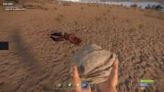 RUST 2022