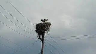 3 мая 2022 г.
