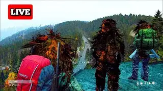 🔴DAYZ UM LOBO SOLITÁRIO