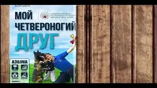 Мой четвероногий друг