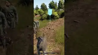 How to Easily Feed Your Companions In Bellwright 