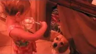 Charlie and Holly the Dog Share Ice Cream