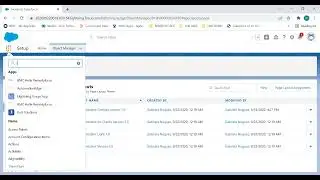 How to Check Who has Access to a Record when OWD is Set to Private