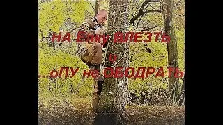 КАК ЗАЛЕЗТЬ НА ДЕРЕВО -  how to climb a tree
