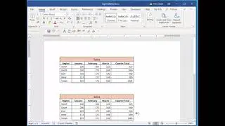 Microsoft Office Excel: Pasting a Spreadsheet In MS Word