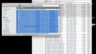Avid Tutorial - 4 - Importing the Project Media