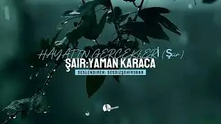 HAYATIN GERÇEKLERİ (Şiir)