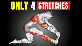 DO THESE 4 Stretches And See What Happens To Your Body
