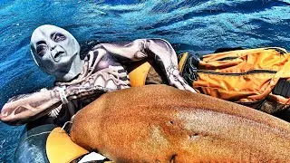 Dolphin Flips Fisherman Over and drags Him Underwater!