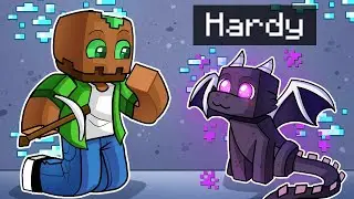 24 HOURS HELPING MY FRIEND BEING A DRAGON IN MINECRAFT 😍😱 HARDY and TROLL