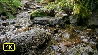 Small stream and water sound - 4K