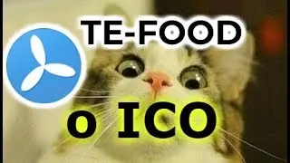 TE-FOOD краткий обзор ico  и мнение по инвестиционной привлекательности