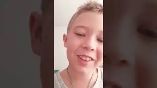 коллеи