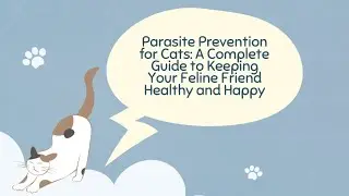 Parasite Prevention for Cats: A Complete Guide to Keeping Your Feline Friend Healthy and Happy