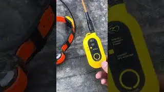 This is my review on the Dogtra ￼ Pathfinder2