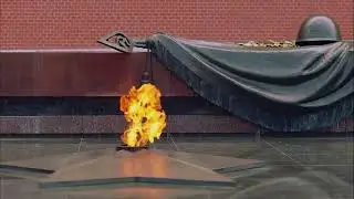 Песня 4Д класса "Бессмертный полк"