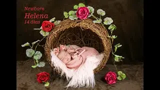 Helena 14 dias