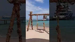 Есть ли жизнь на красном море 