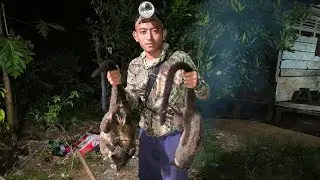 Berburu Musang Di Malam Hari - Poin Nya Malah Nyangkut di Pohon Karet.