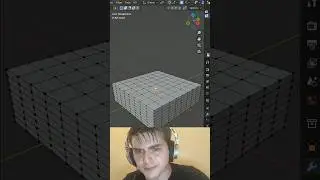 Noob vs Pro artist: creating a pillow 