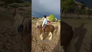 Steering my horse with a carrot on a string