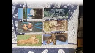 (vendido) Lote de 6 figurinhas – surpresa animais do mundo