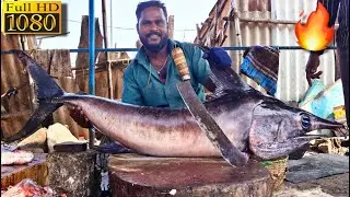 KASIMEDU DAVID FISH CUTTING💥| 20KG PANNI KOLA FISH CUTTING🐟 | FISH CUTTING SKILL | CKFC🔪