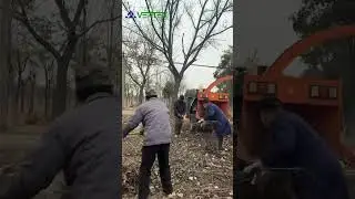 Branch shredder for centralized processing of garden branches and leaves #woodcrusher #crusher
