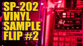 SP-202 Vinyl Sample Flip #2 - Late Night Jam