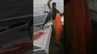 Albacore Tuna Fishing August 2024 CRAZY TRAIN BITE #yakventures #albacore
