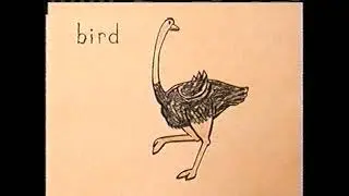 Playhouse Disney World of the Day: Bird