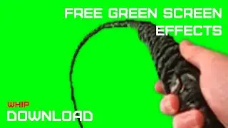 GREEN SCREEN FX - WHIP