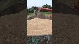 #automobile #agriculture #farmer #т25 #юмз6