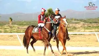 FINAL FUTURITY MEXICANO 250 YDS