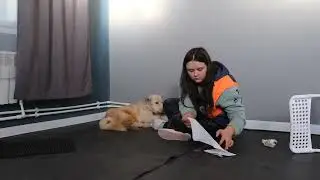 Снежочек на массаже 🙏