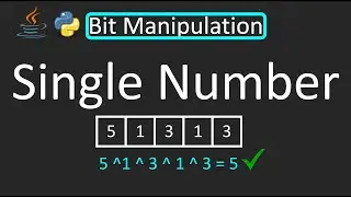 LeetCode - 136. Single Number | Bit Manipulation | Python | Java