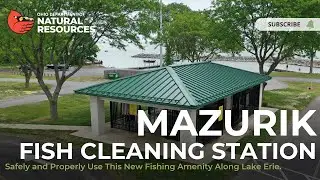 Mazurik Fish Cleaning Station