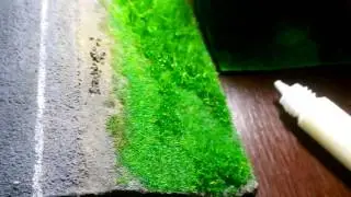 Высадка травы на макет трассы