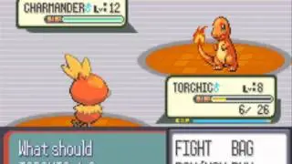 Charizard's Tomb