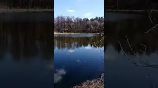 1 мая 2022 г.