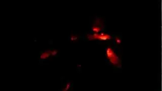 Сева Арцинович и соло Соловья - №3