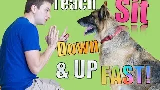 How to Teach Your Dog Sit, Down, Up and Stand in MINUTES! Dog Training Basics