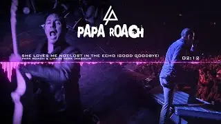 Papa Roach & Linkin Park - She Loves Me Not/Lost In The Echo (Good Goodbye) [Mashup]