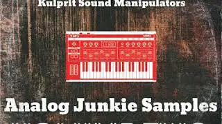 Analog Junkie Vol. 2 Sample Pack