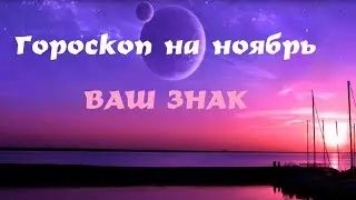 СТРЕЛЕЦ.  Гороскоп на ноябрь 2020