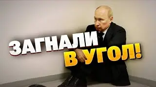 Putin is afraid of meeting Trump! The bunker-dwelling old man has fallen into a trap!