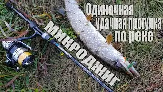 МИКРОДЖИГ Одиночная удачная прогулка по реке