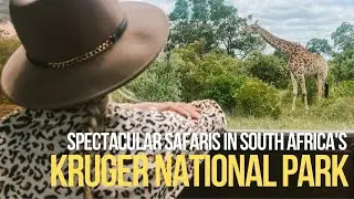 Spectacular safaris in Kruger National Park, South Africa